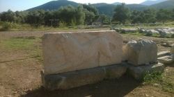 11944881_1127681437259563_623046101_n 1